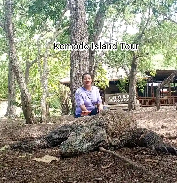 Komodo Island