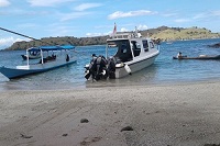 Komodo-Rinca Speed boat tour