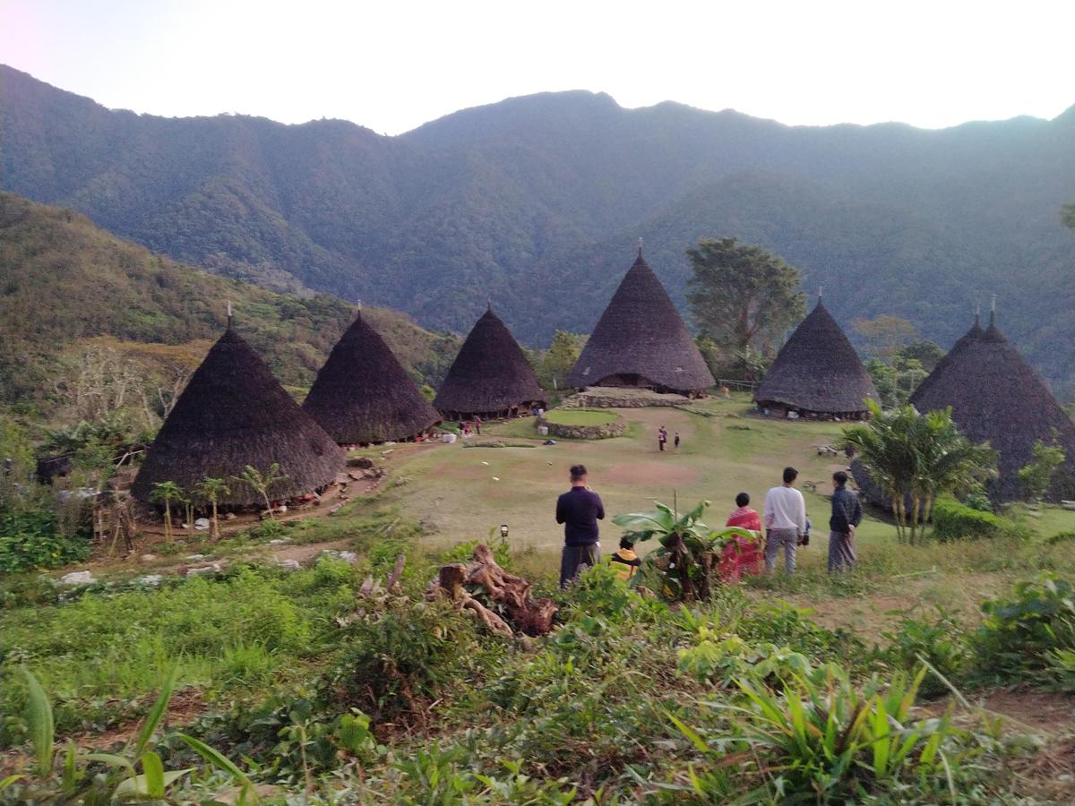 Komodo-Flores Tours